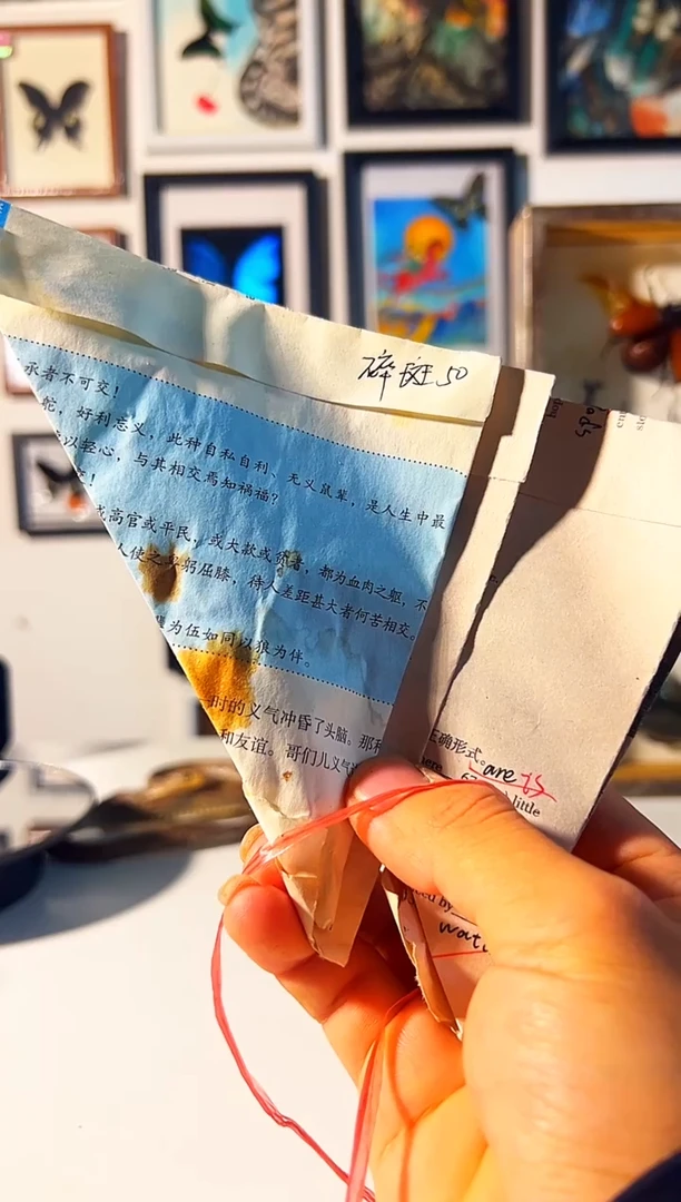 有机玻璃五只原蝶随机发