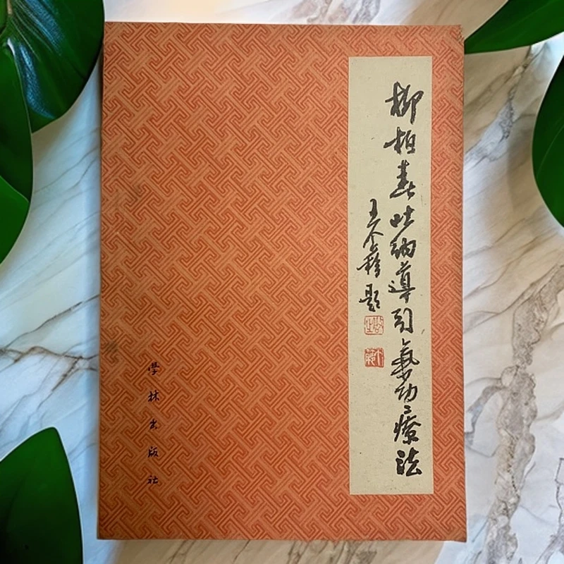 9新  柳柏春吐纳导引气功疗法学林出版社1983年1版1印Y