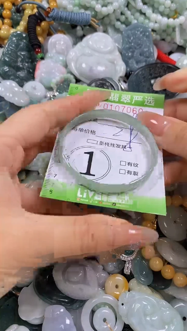 【闪购商品】翡翠颈饰未镶嵌闪购0107060