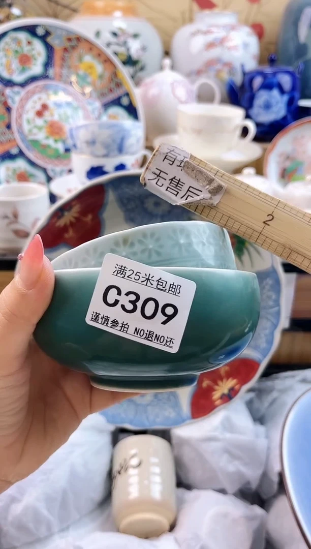?****?==============c309