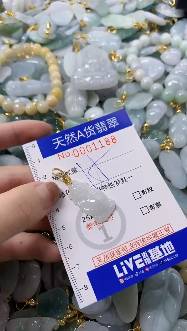 颈饰未镶嵌翡翠天然A货翡翠