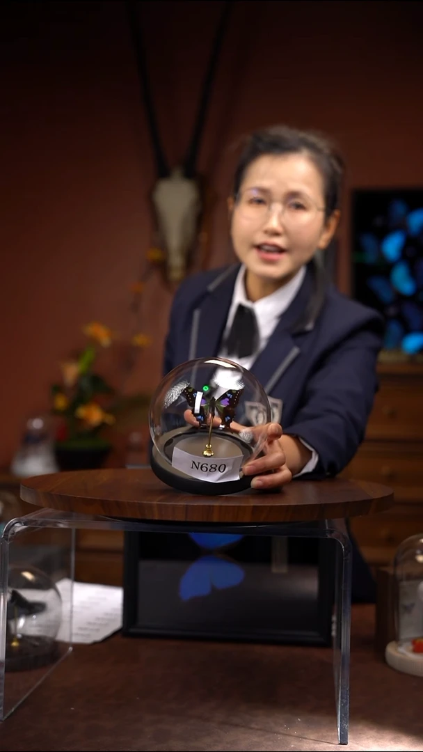 N680玫瑰青凤蝶玻璃球款