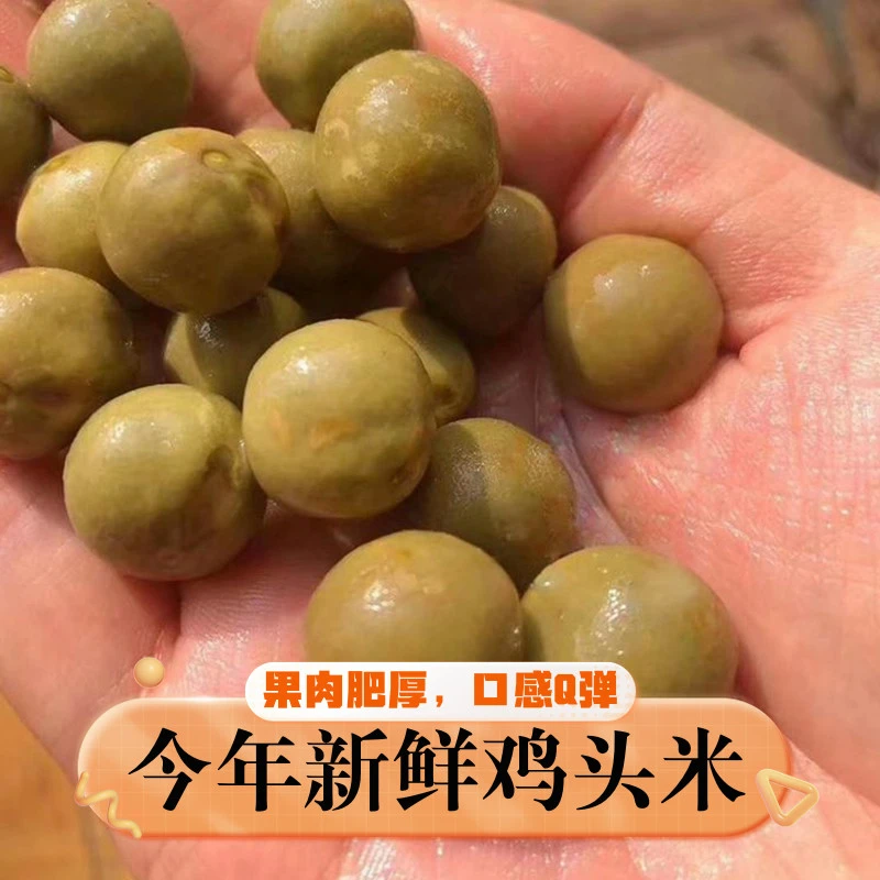 安徽特产新鲜芡实鸡头果二青中果打磨鸡头果芡实中大带壳鸡头米果