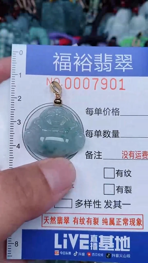 颈饰未镶嵌翡翠...0007901