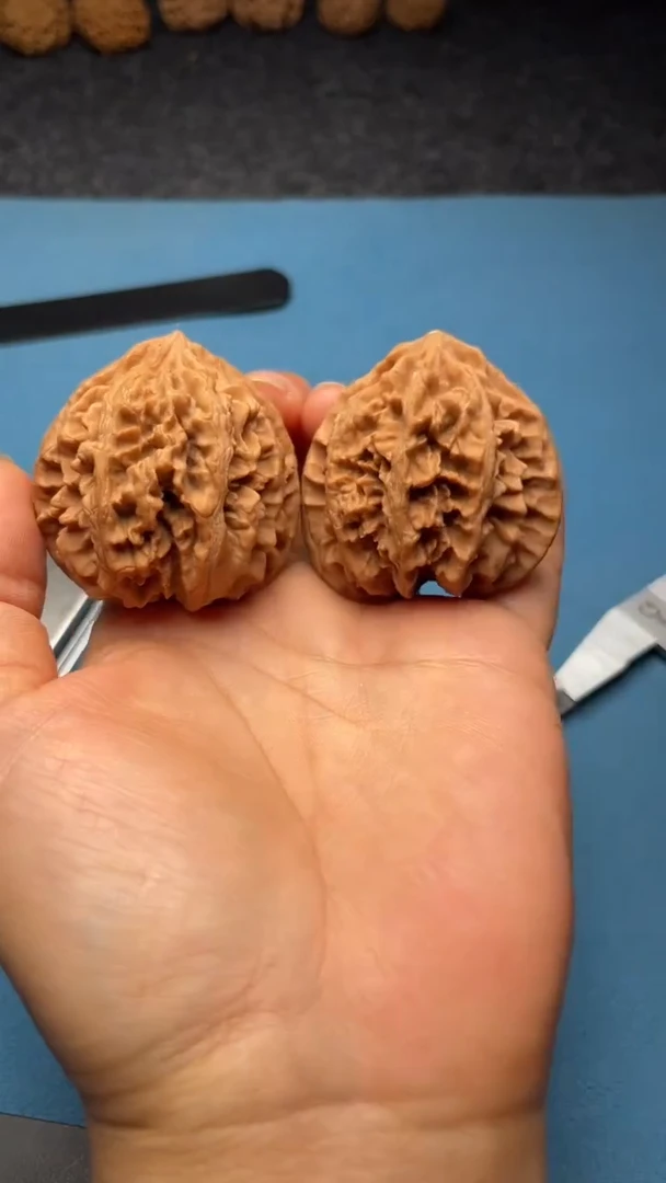 桃核把件w172  状元冠 44尺