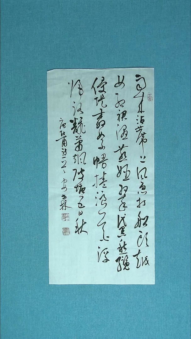 【闪购商品】书法196 甘肃安世林中书协69*34