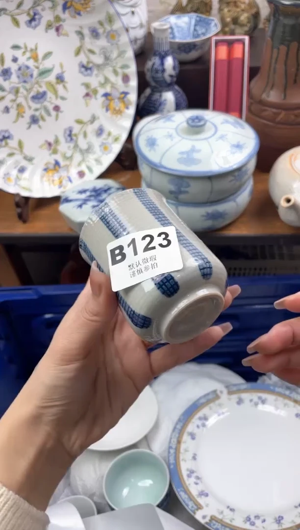 【闪购商品】瓷片               B123