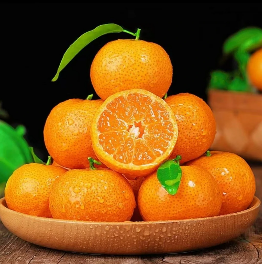 【十月金秋】金秋砂糖橘1斤装