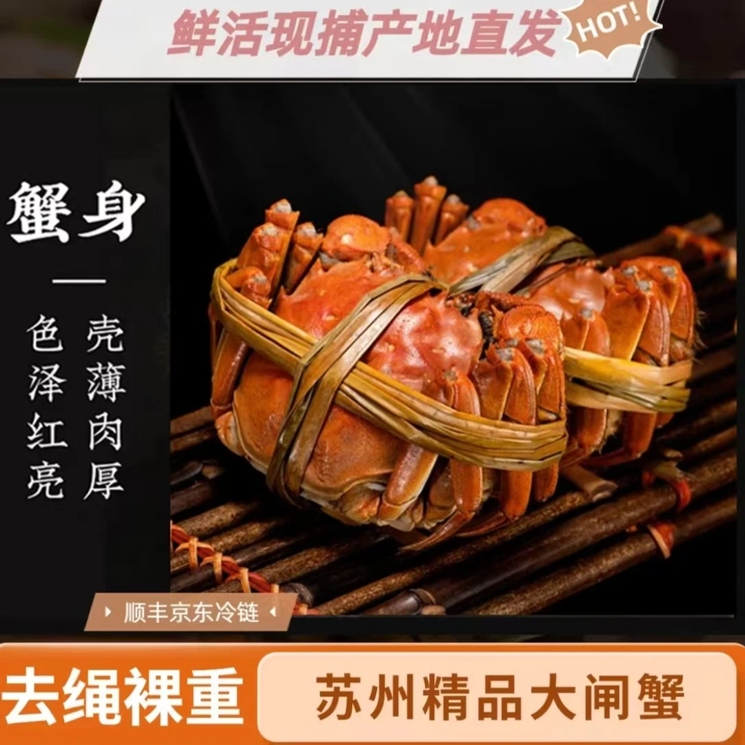 【苏州金标大闸蟹】全母蟹3.1~2.8两礼盒装冷链包邮8+2到手10只活蟹