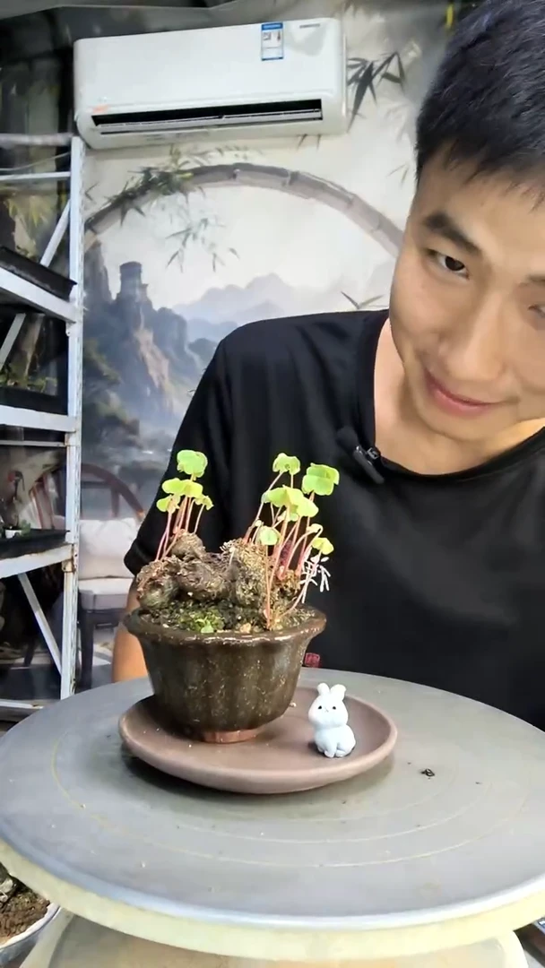 咸**泪中青园艺一物一拍31