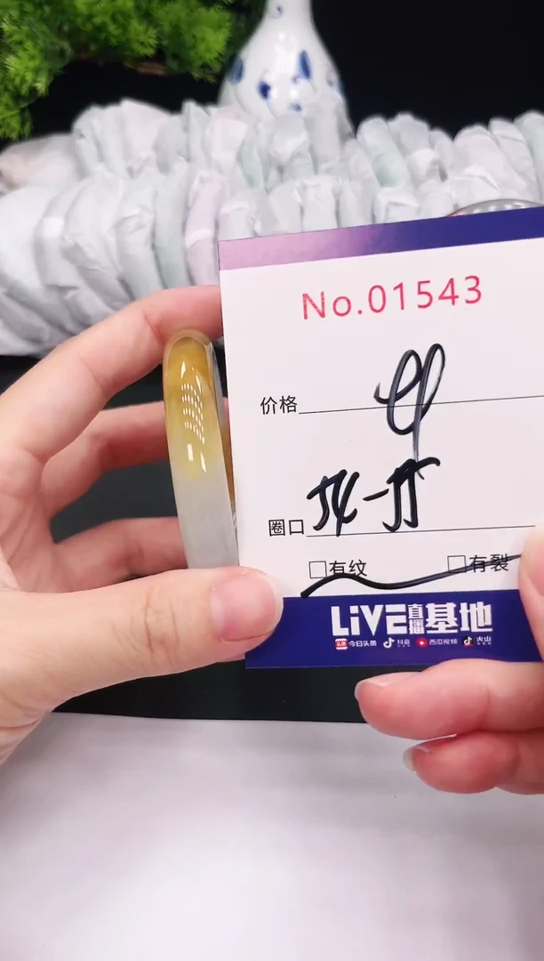未镶嵌手镯翡翠1543双耳