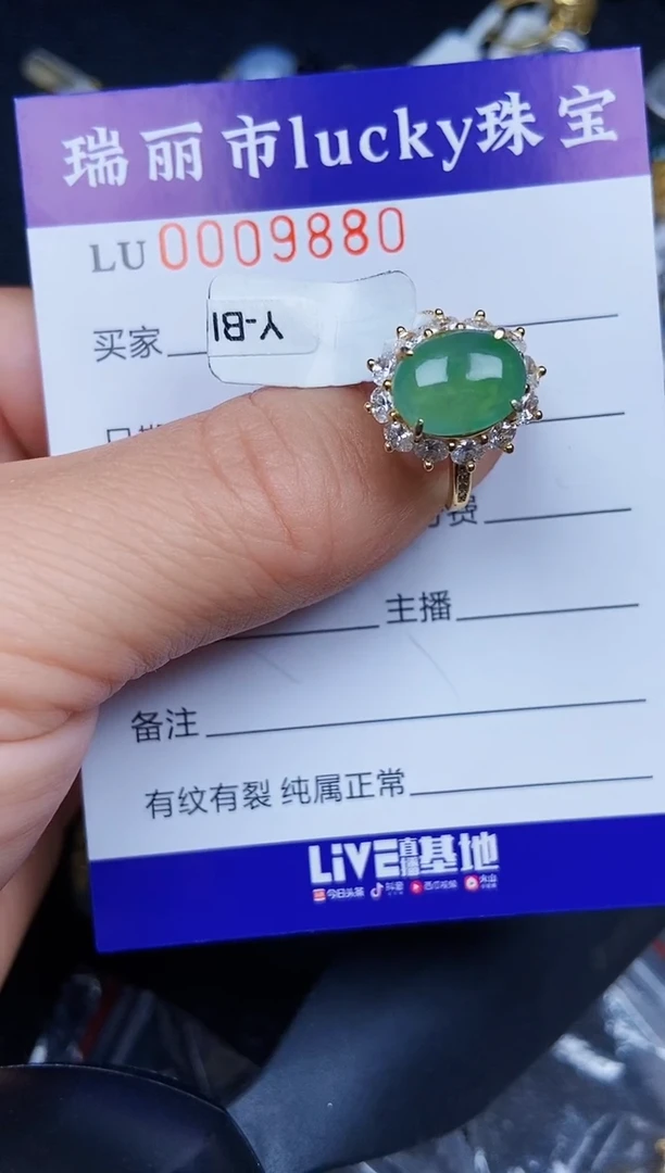 翡翠银S925镶嵌颈饰9880