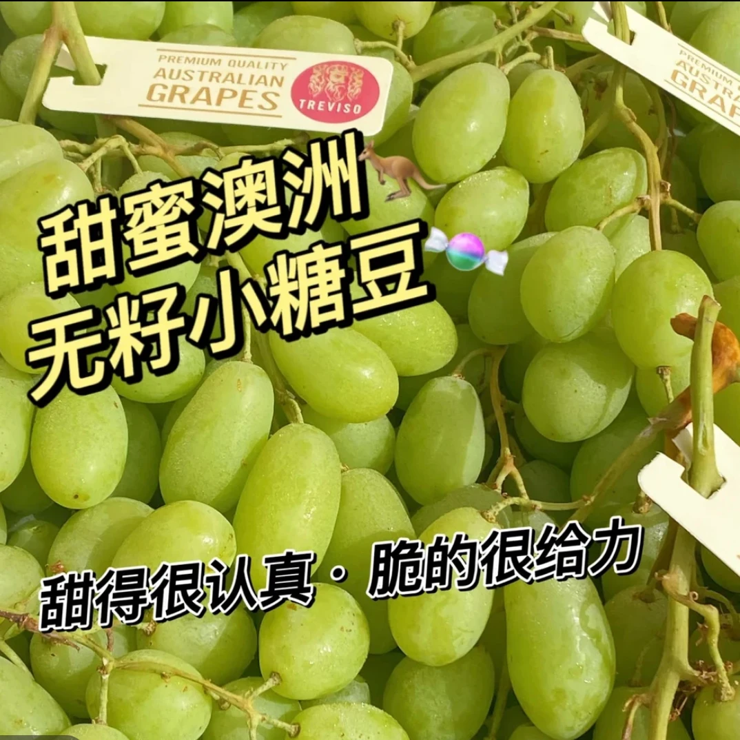 澳洲甜地球秋天脆青提进口无籽多汁皮薄酥脆新鲜葡萄发顺丰快递