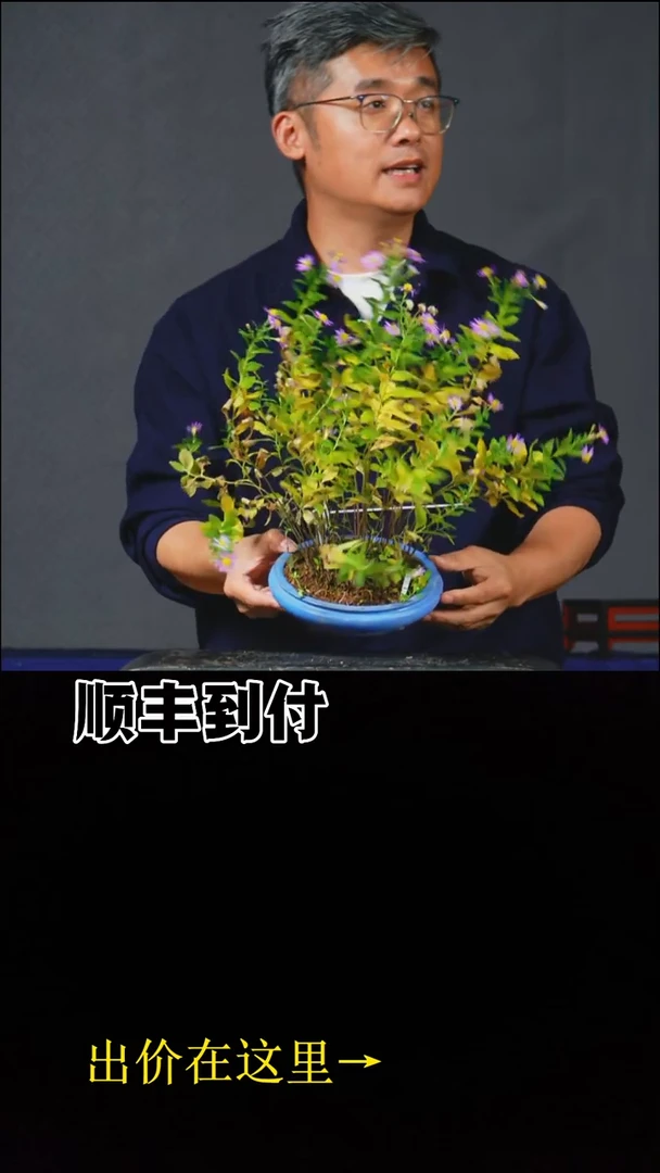 以实际为准夕印之bubaoyou