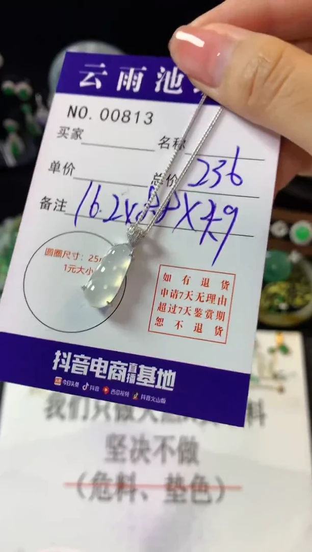 翡翠银S925镶嵌颈饰翡翠