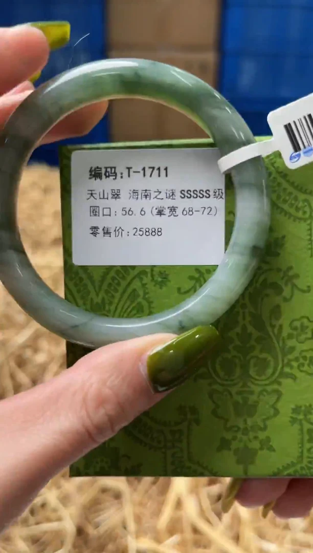 未镶嵌手镯石英质玉T1711