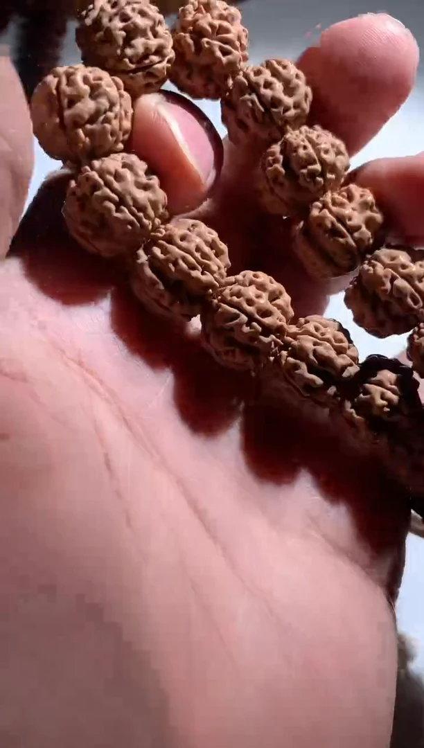 金刚菩提手串6066666666