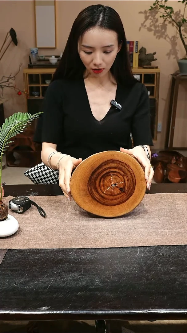 木香樟木原木切片干泡台0542