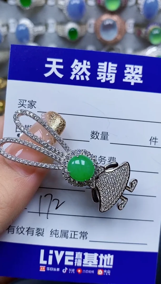 翡翠银S925镶嵌颈饰172