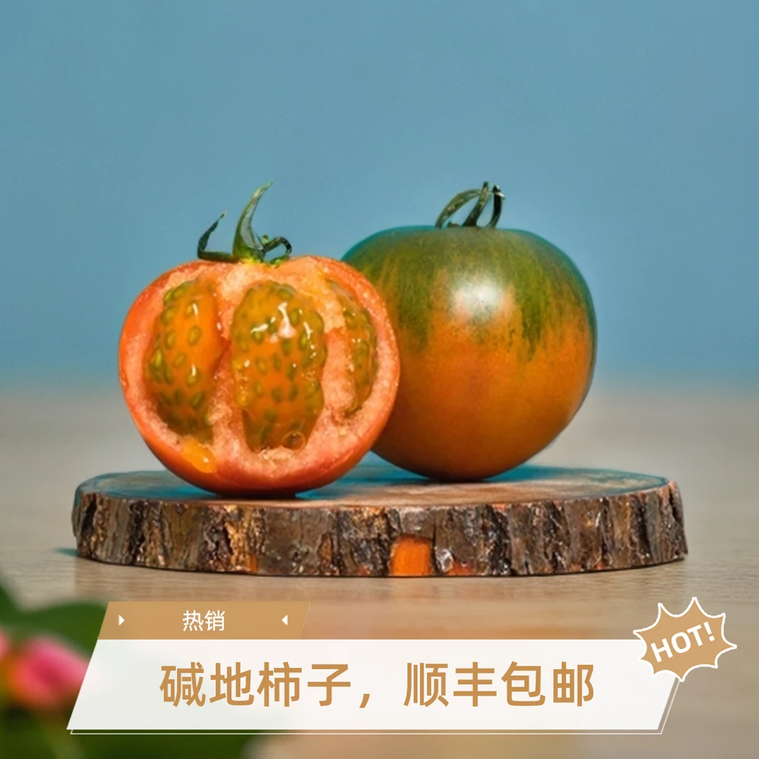 鸡西滴道大棚草莓柿子铁皮西红柿顺丰包邮