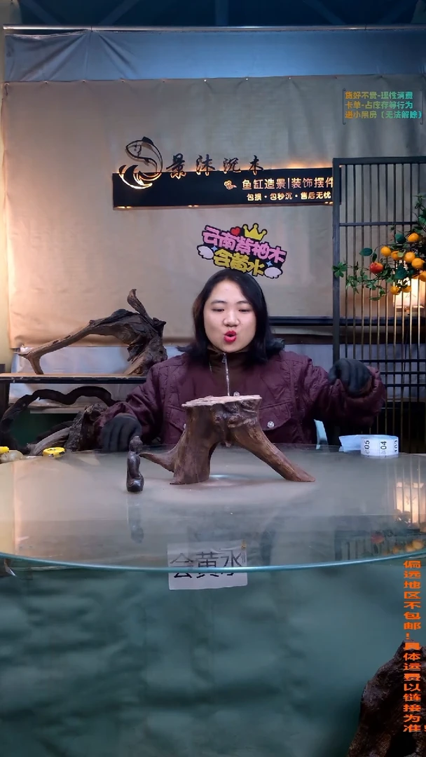 摆件景沐沉木J101 32-12-16