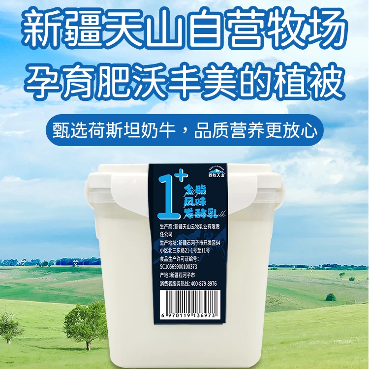 【大同蓝遇见新疆年货节专属福利】西牧天山全脂风味酸奶  1000g*1