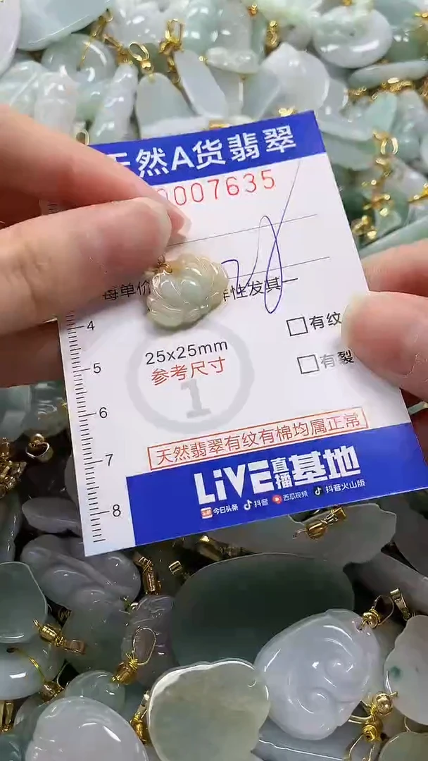 颈饰未镶嵌翡翠纯天然a货翡翠