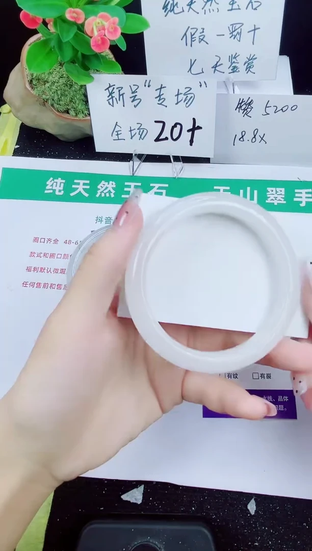 未镶嵌手镯石英质玉139-57/58