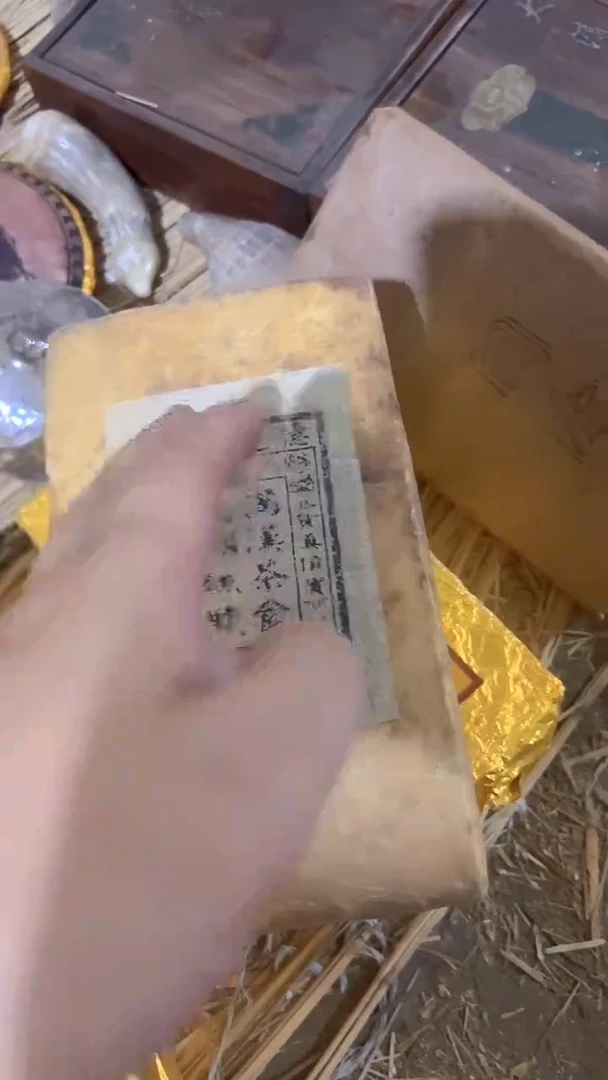 紫砂紫砂紫砂紫砂紫砂紫砂