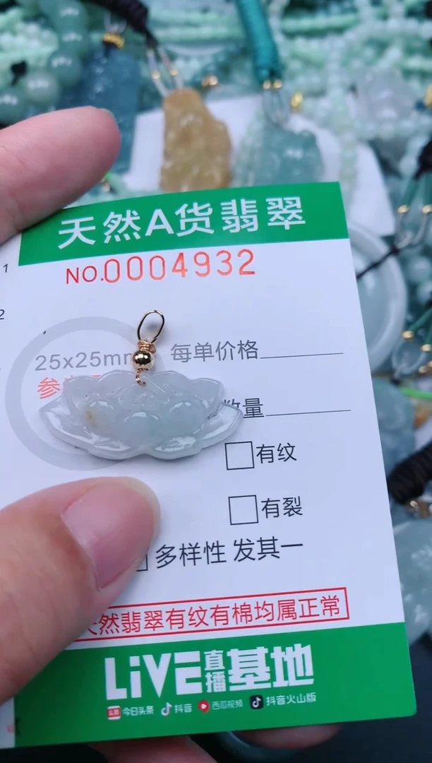 翡翠未镶嵌颈饰.0004932