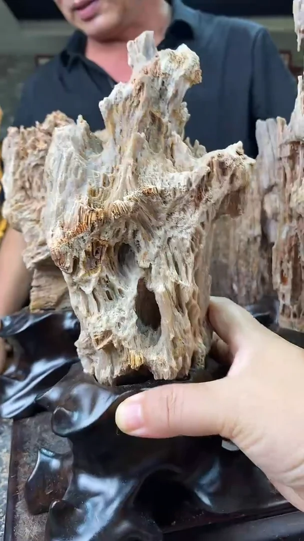 玉亨兴摆件树化玉摆件