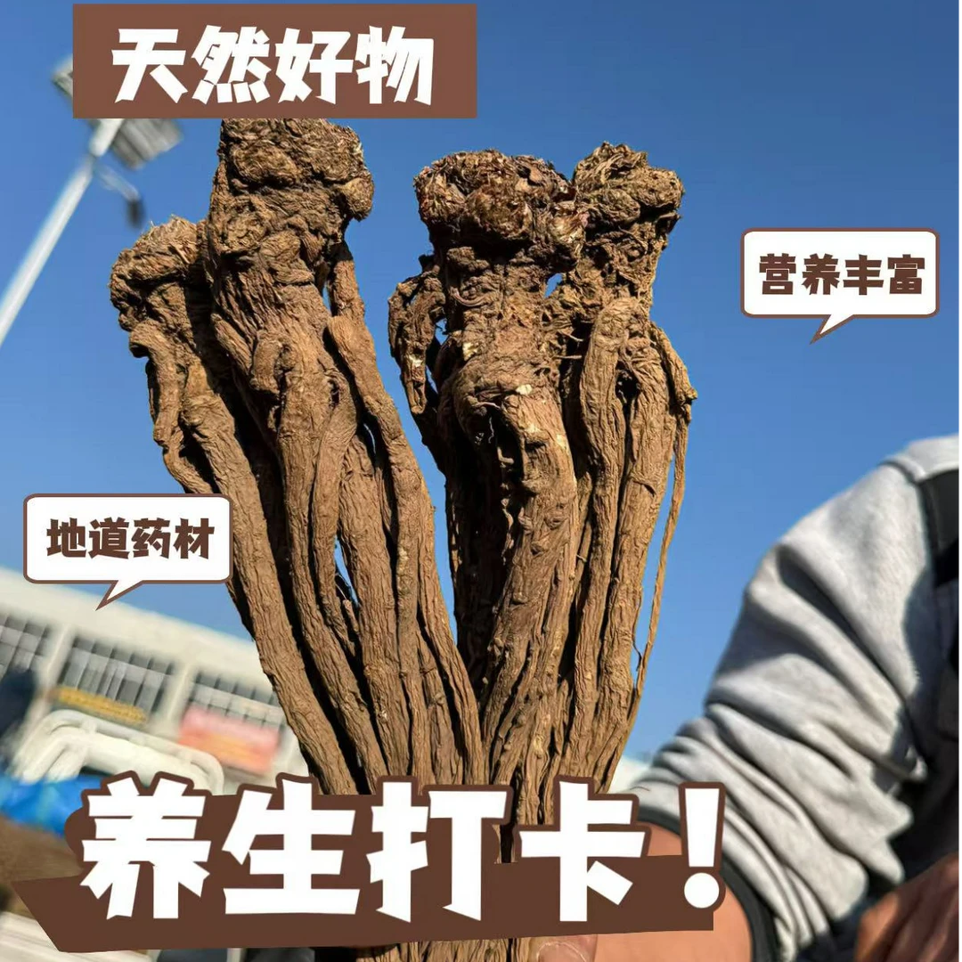甘肃岷县当归整根大个子可煲汤滋补养生的中药材当归中药材正品