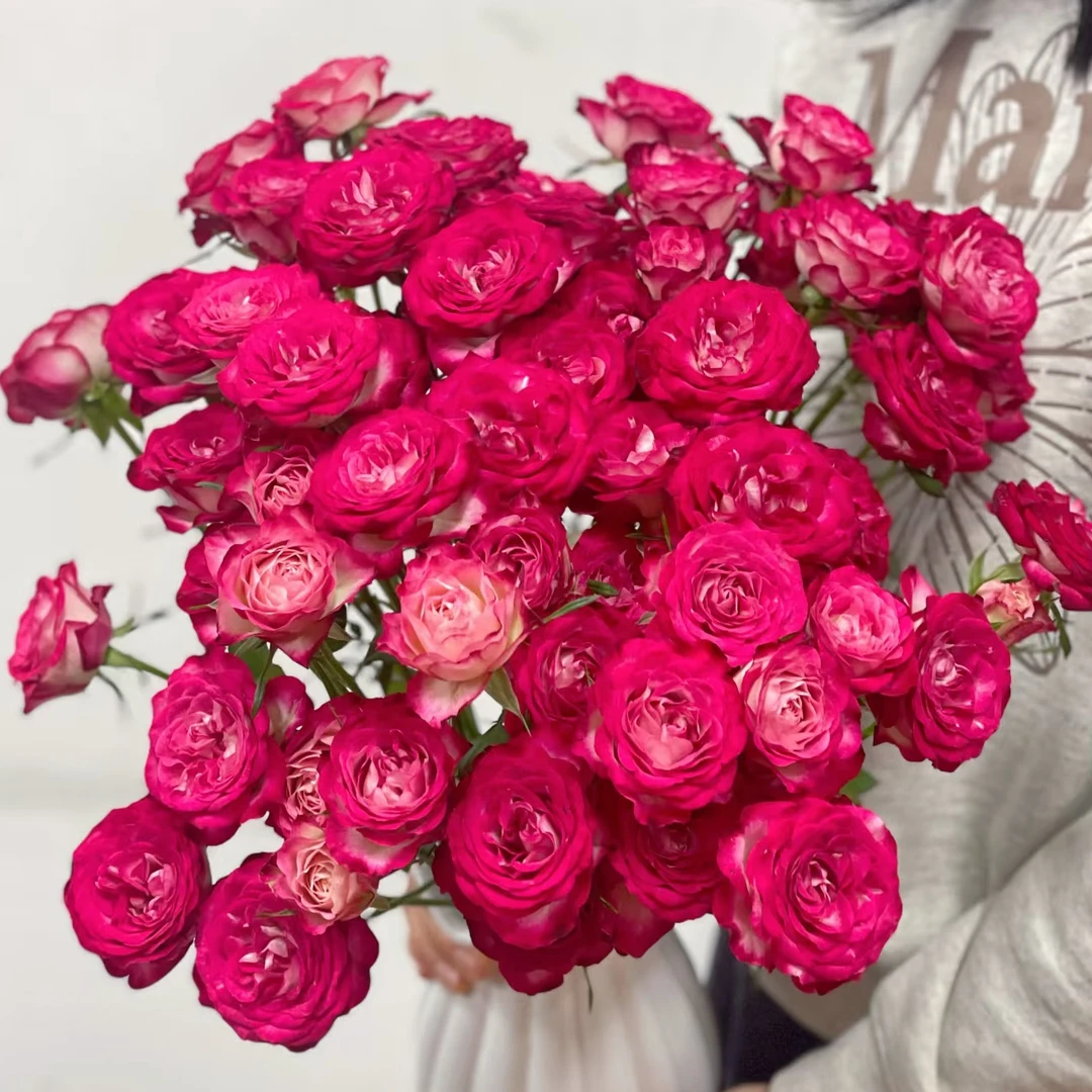 鲜花【狮子座多头】同地址两单以上顺丰/德邦空运+送10包保鲜剂