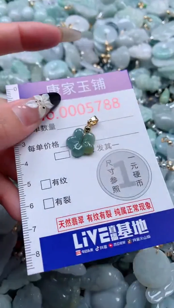 颈饰未镶嵌翡翠5788