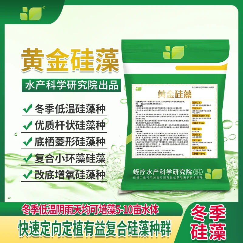 [黄金硅藻]冬季低温硅藻种，快速定向复合硅藻种群 肥水降氨氮亚盐