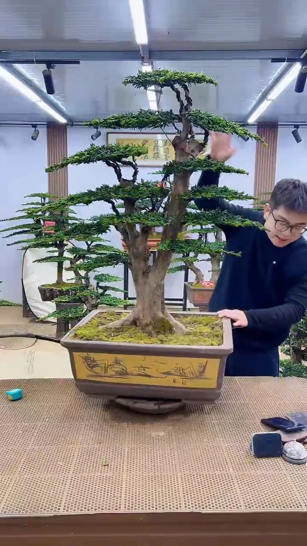 无花朵000000000000