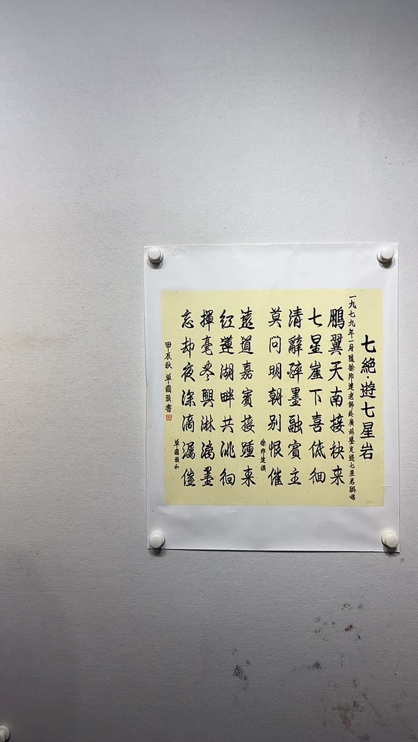 书法y单国强2平尺多字书法