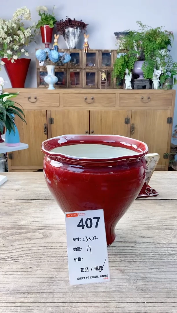小玩子花盆直播号407