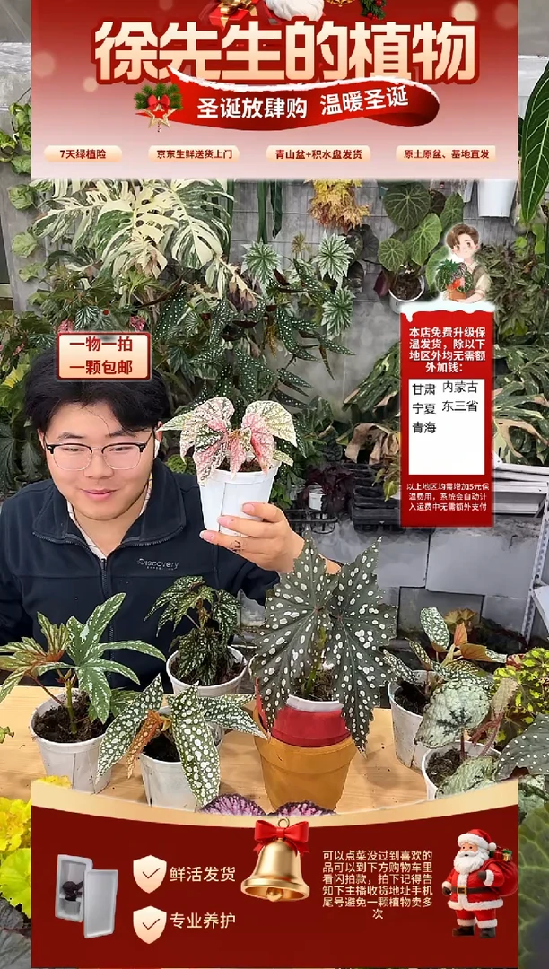 完全开放富士山锦