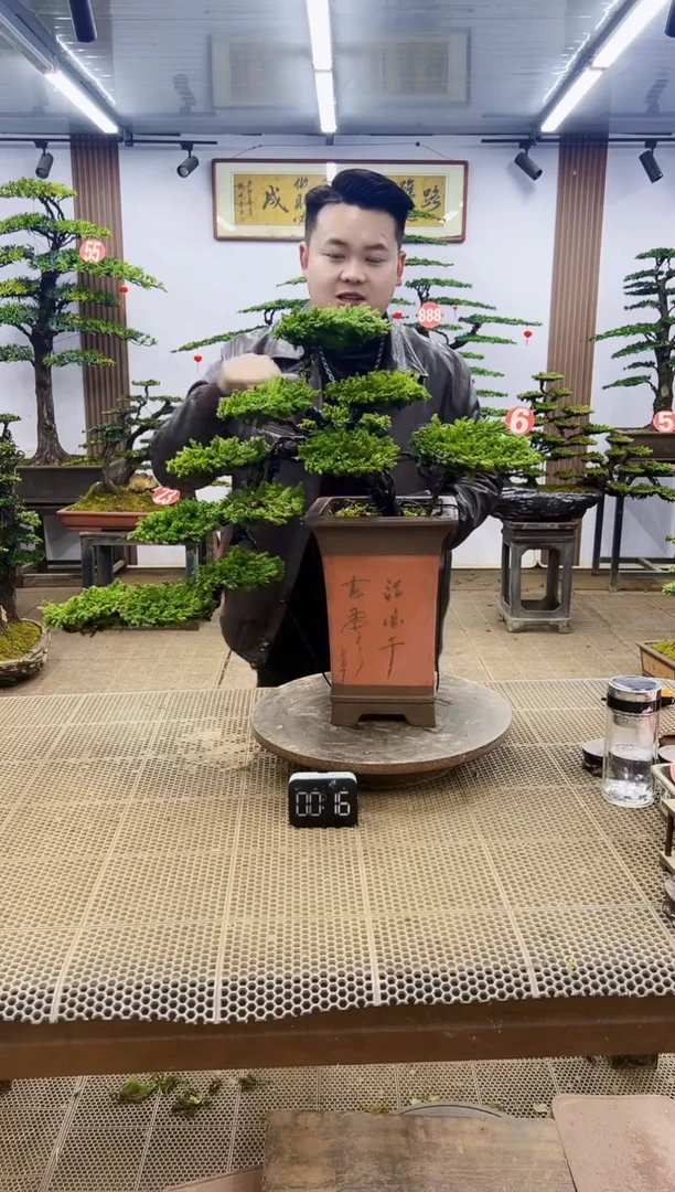 【闪购商品】00000000