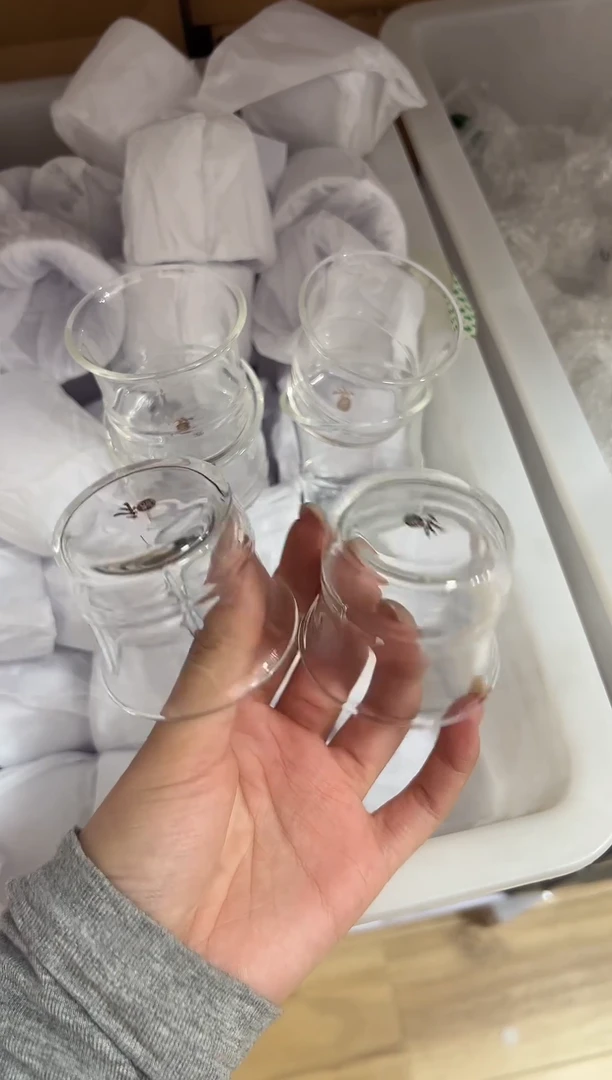 六只茶杯1111111111