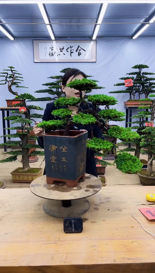 无花朵一物一拍，所见即所得