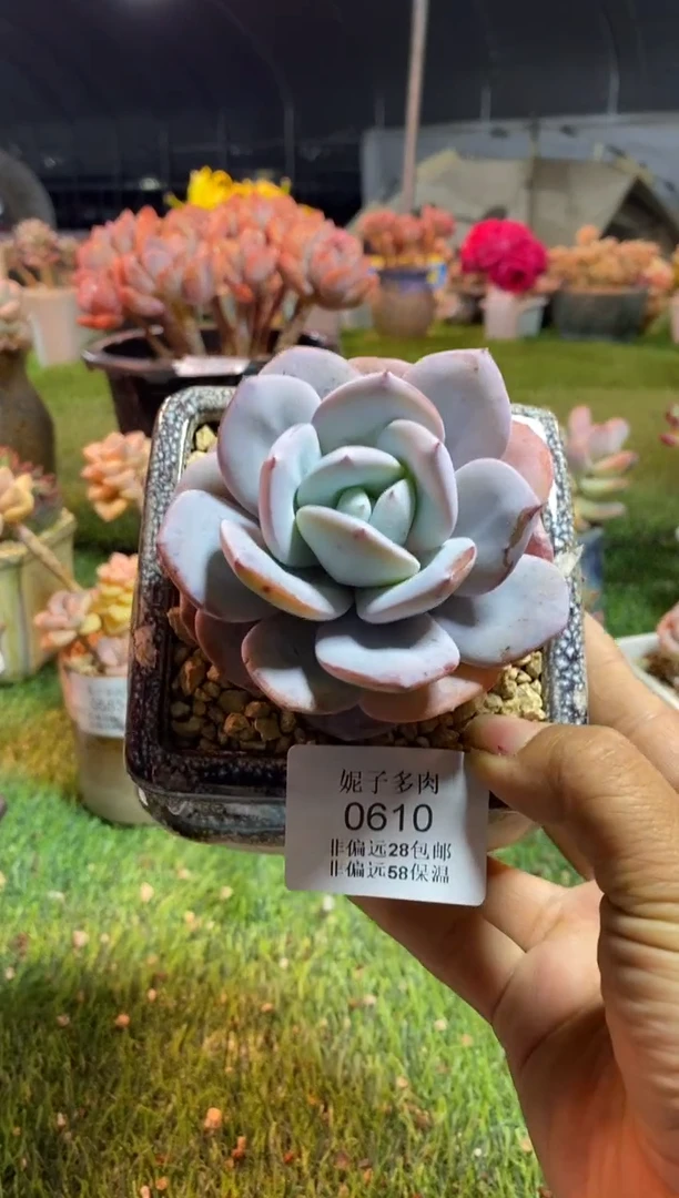 【闪购商品】0610a