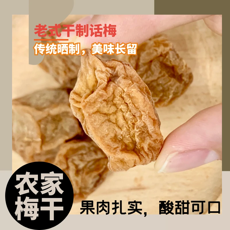 A农家话梅干丨厚肉话梅酸甜话梅果干休闲零食蜜饯110g