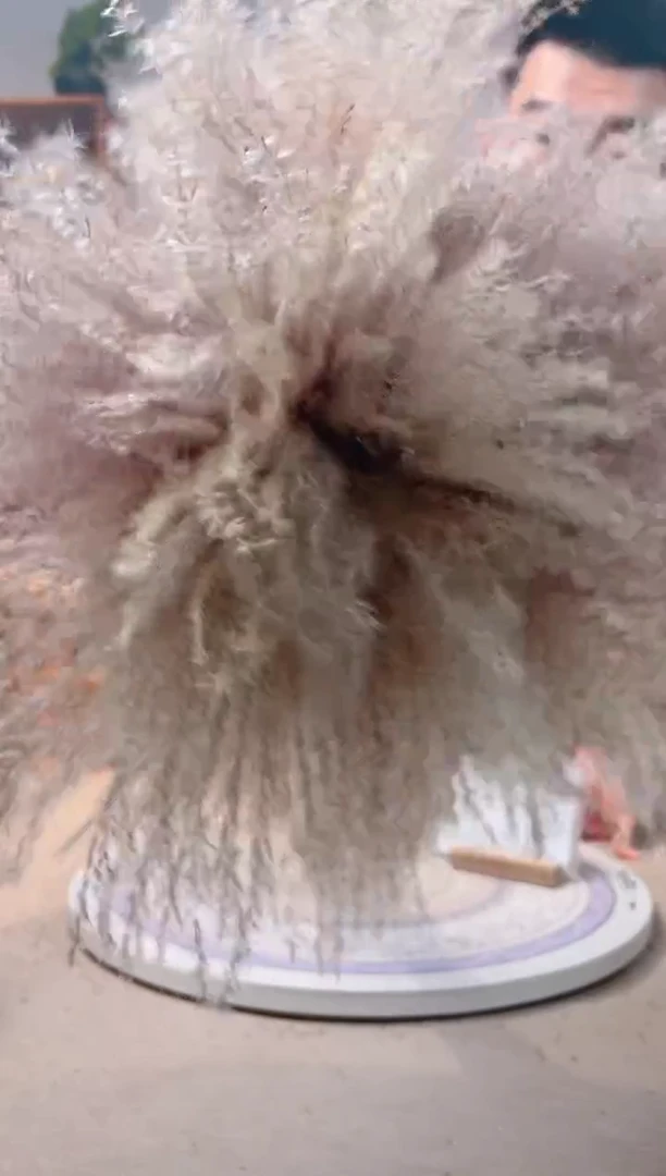 瓶陶瓷花瓶 花 一束芦苇 70支