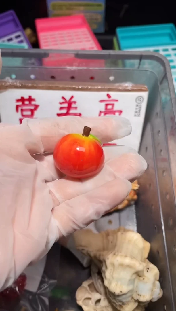 陌派帝国寄居蟹456，1.5口