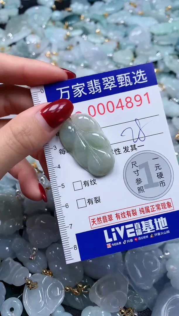 颈饰未镶嵌翡翠4891