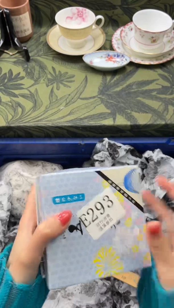 瓷片盈*盈       E293*