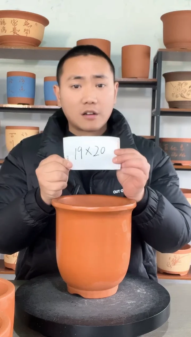 【闪购商品】紫砂工厂直发高金钟红素3号1个