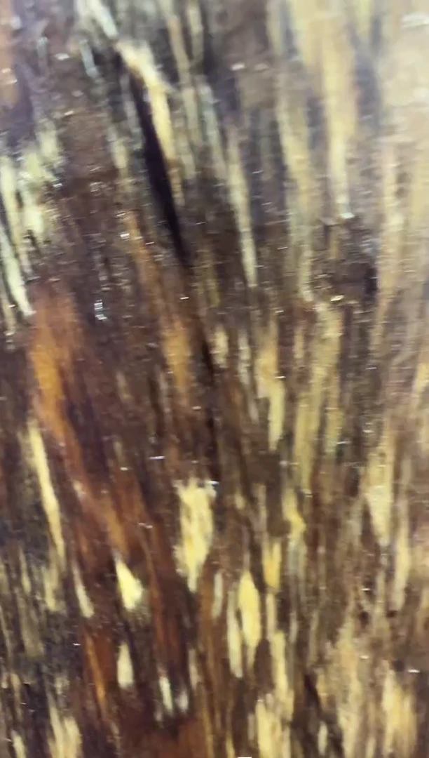 沉香碎屑沉香 天然沉香原材料